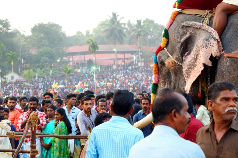 an elephant and a man next to an audience