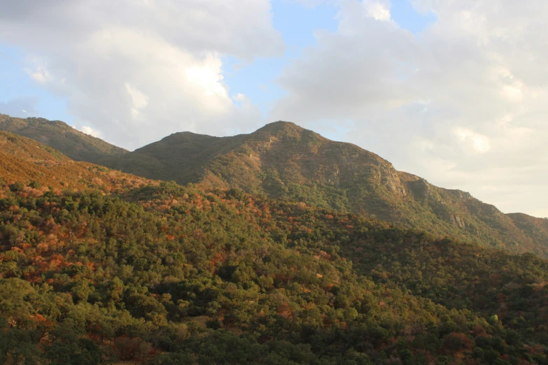 a view of some mountains, with a few green leaves