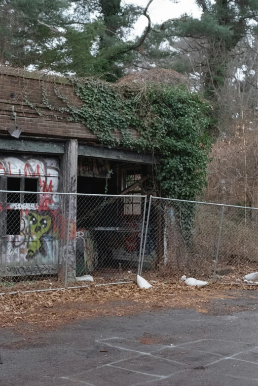 there is a house covered in graffiti by some wires