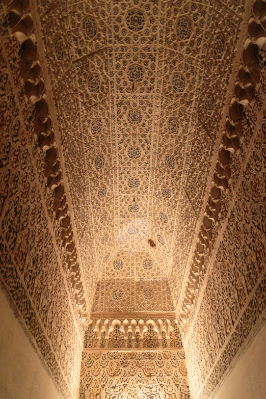 inside of a building with a ceiling made of intricate patterns