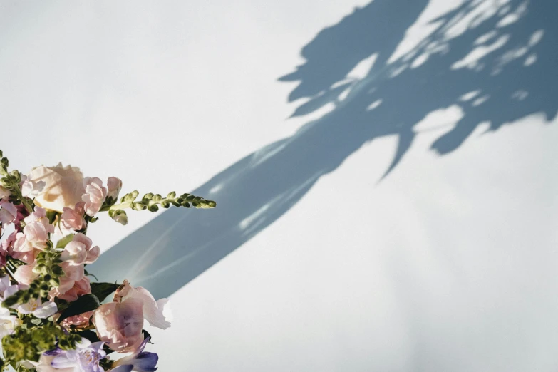 an image of a beautiful bouquet of flowers on a wall