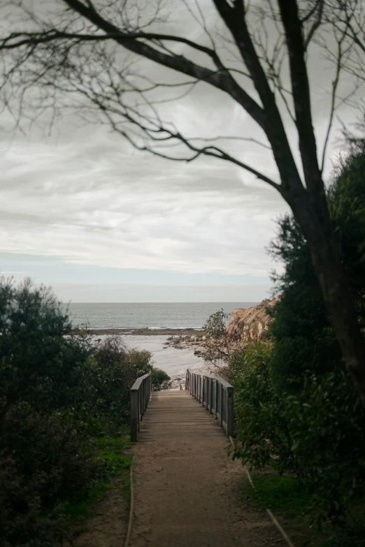 a path near a beach leading to an ocean