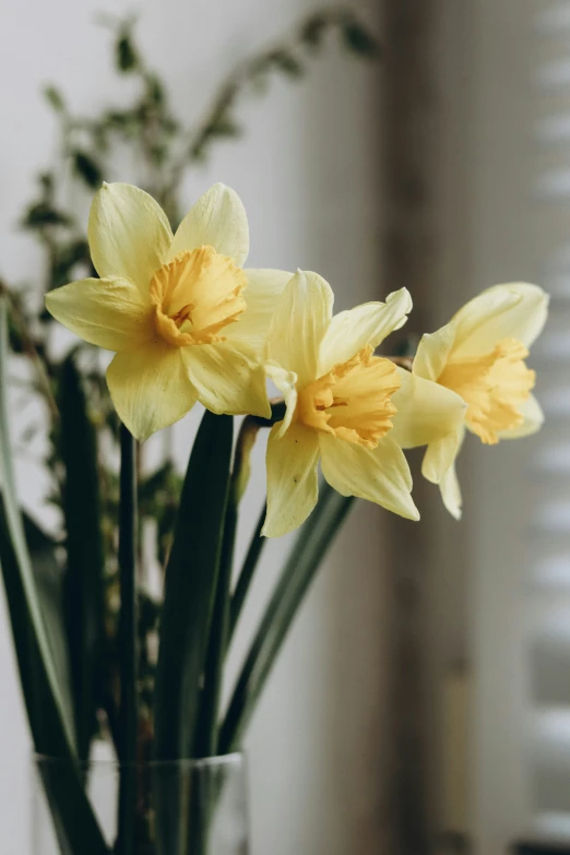 several yellow flowers are in a glass vase