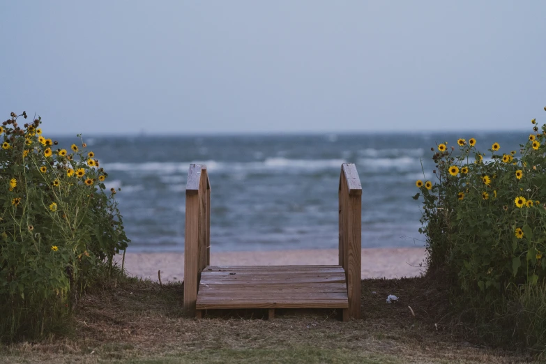 a small wooden bench on the side of a path next to grass