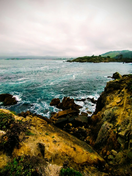 a bird is sitting on a rock by the ocean