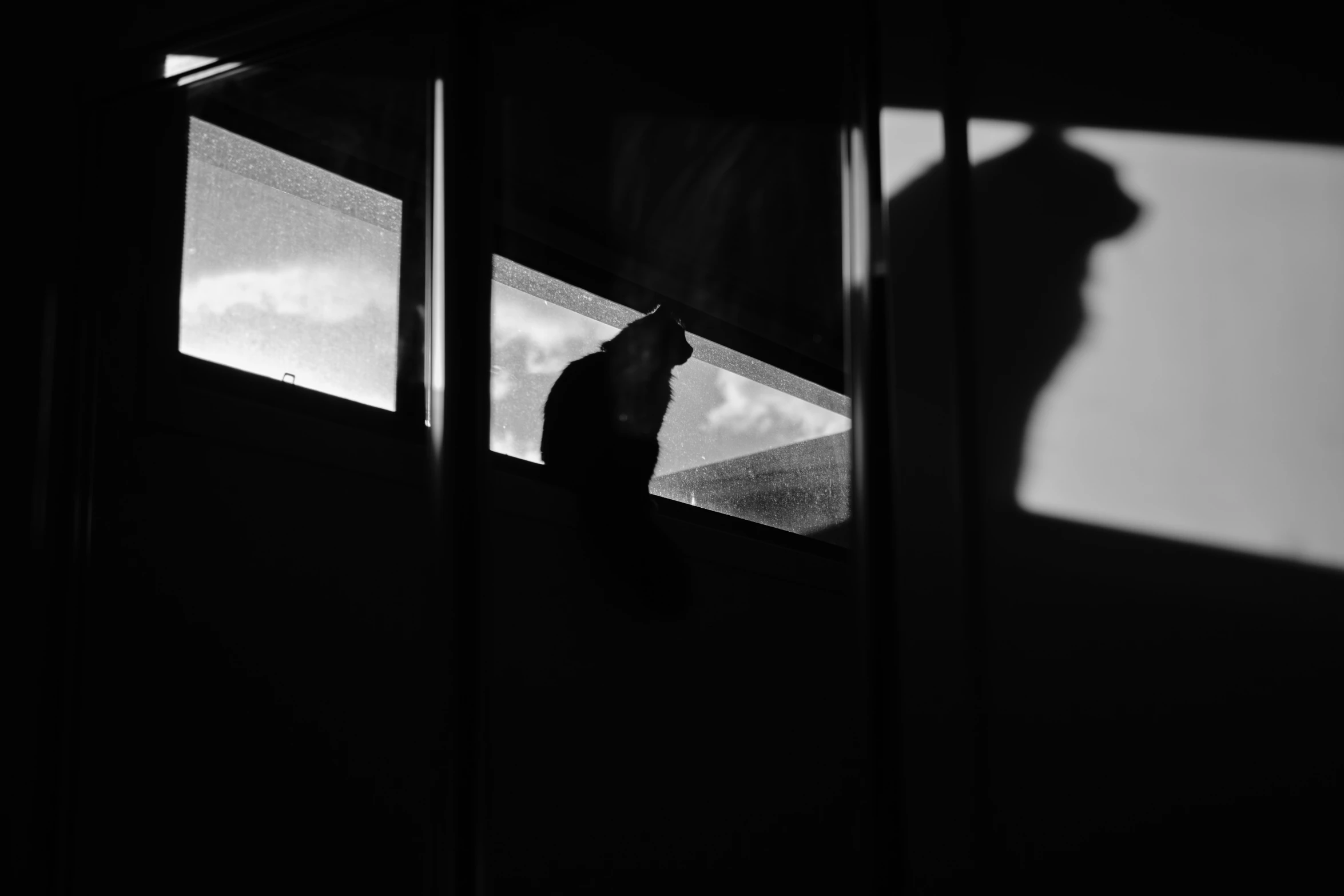 a man standing outside the window looking at his reflection