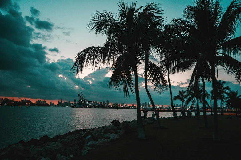 some palm trees are in front of the water