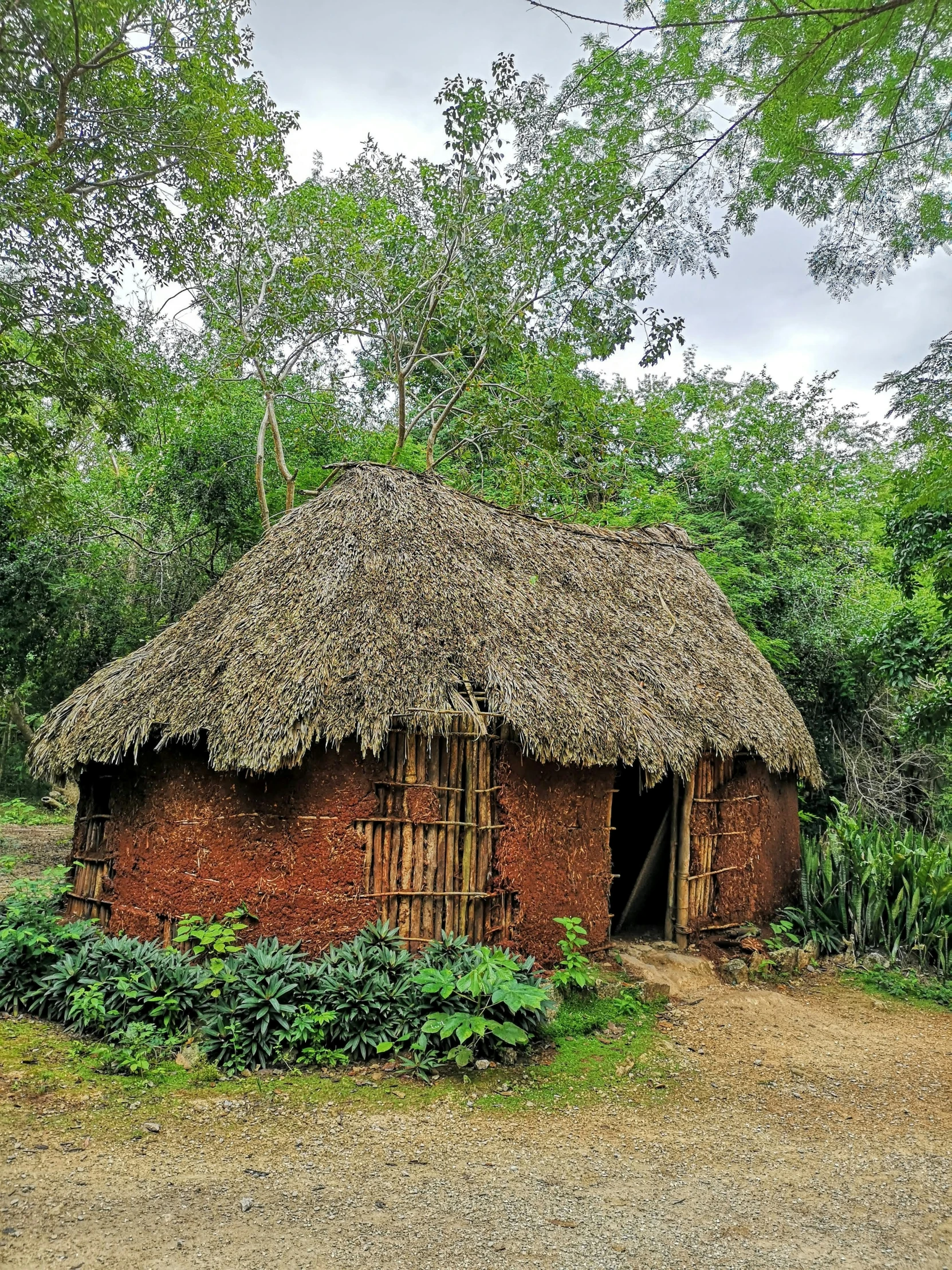 a thatched and stone building sits among trees