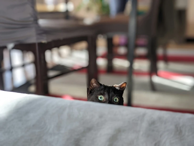 black cat with green eyes peeking over the top of table