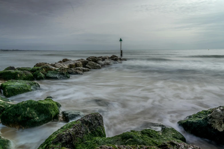 a green shore line with mossy rocks and water