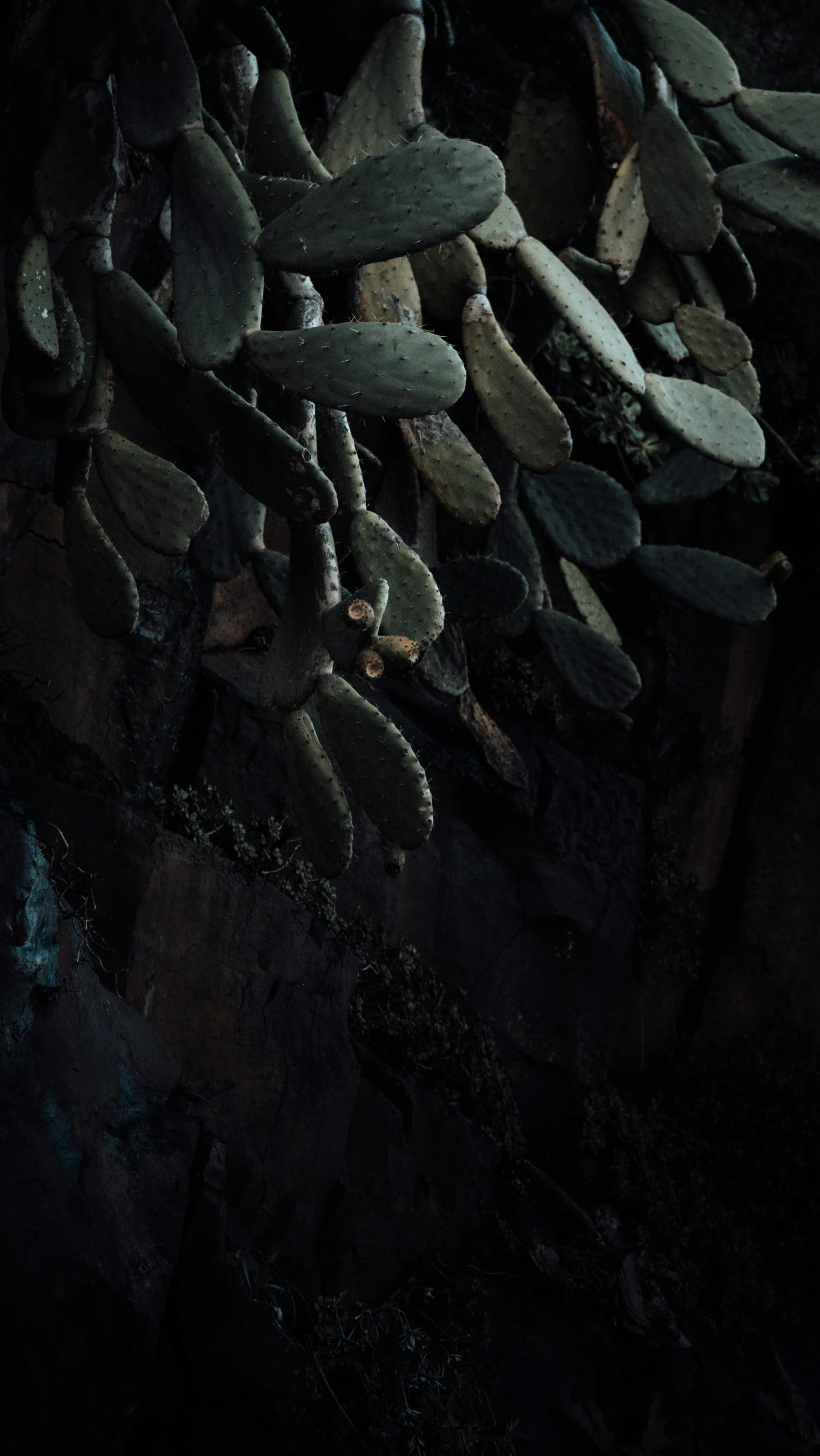 a bunch of rocks that are standing on some ground