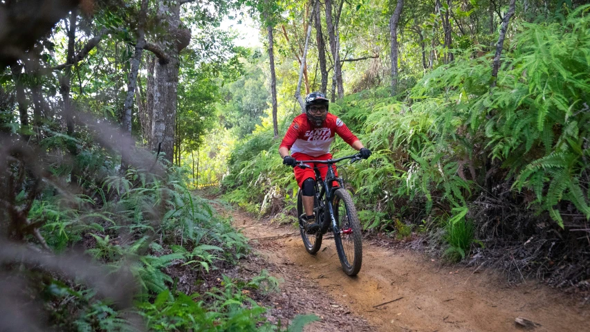 man on bike on forest trail with green plants