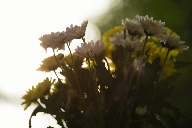 a bunch of flowers are in a vase