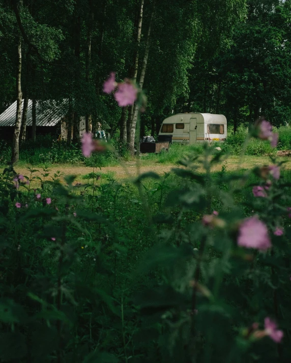 a trailer park in a wooded area with purple flowers and grass