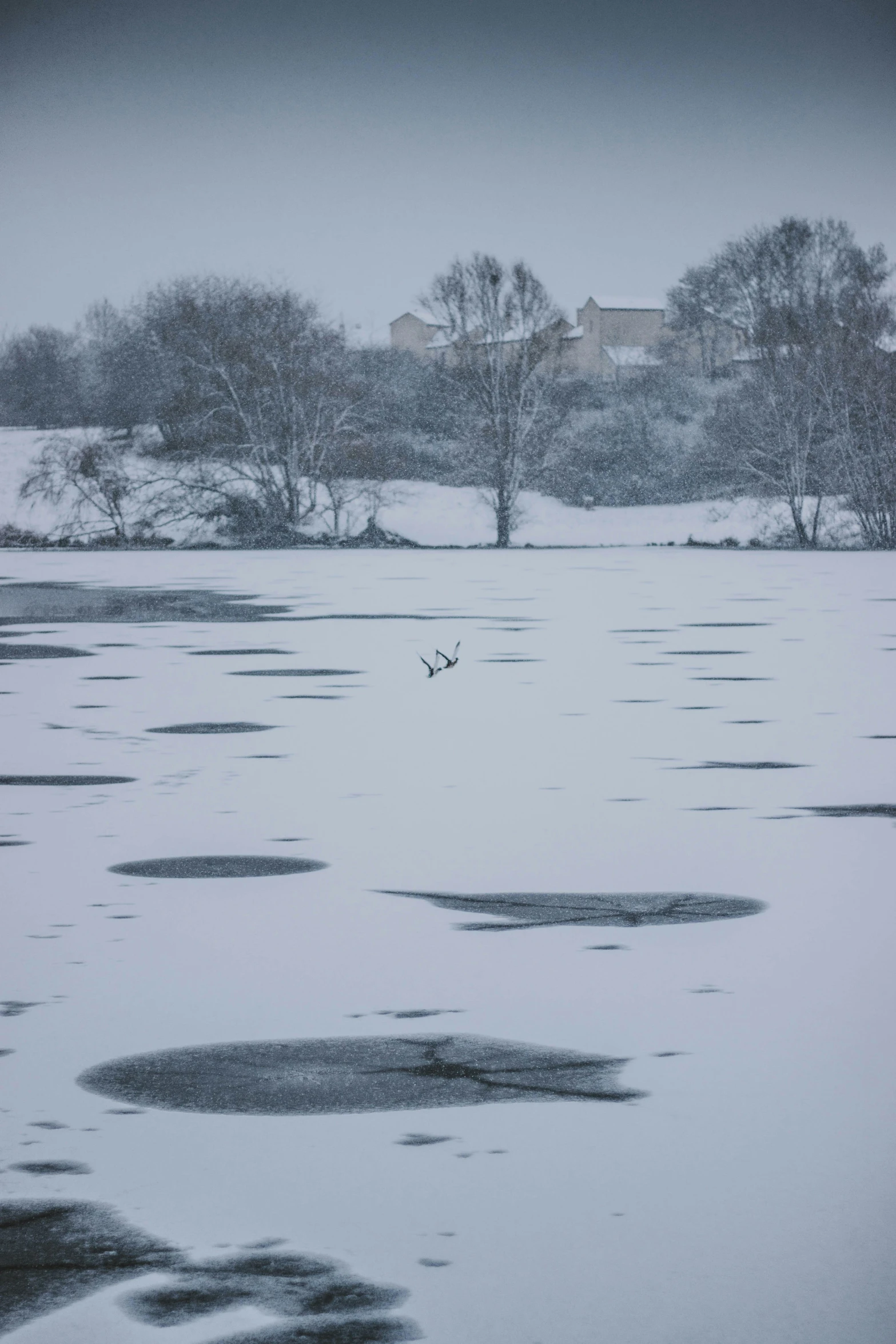 the landscape is covered in snow and has water features