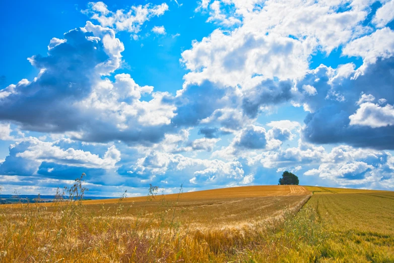 the sky is partly cloudy over a wheat field