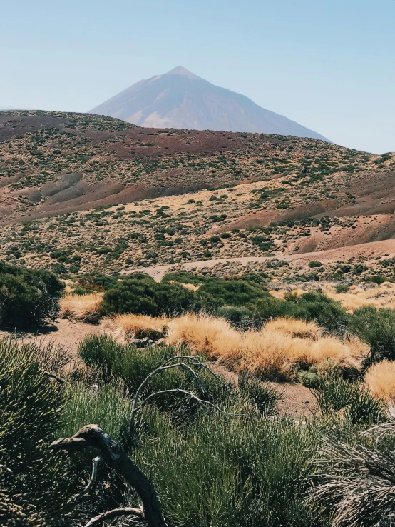 a hill with plants in front of it and dirt fields in front of it