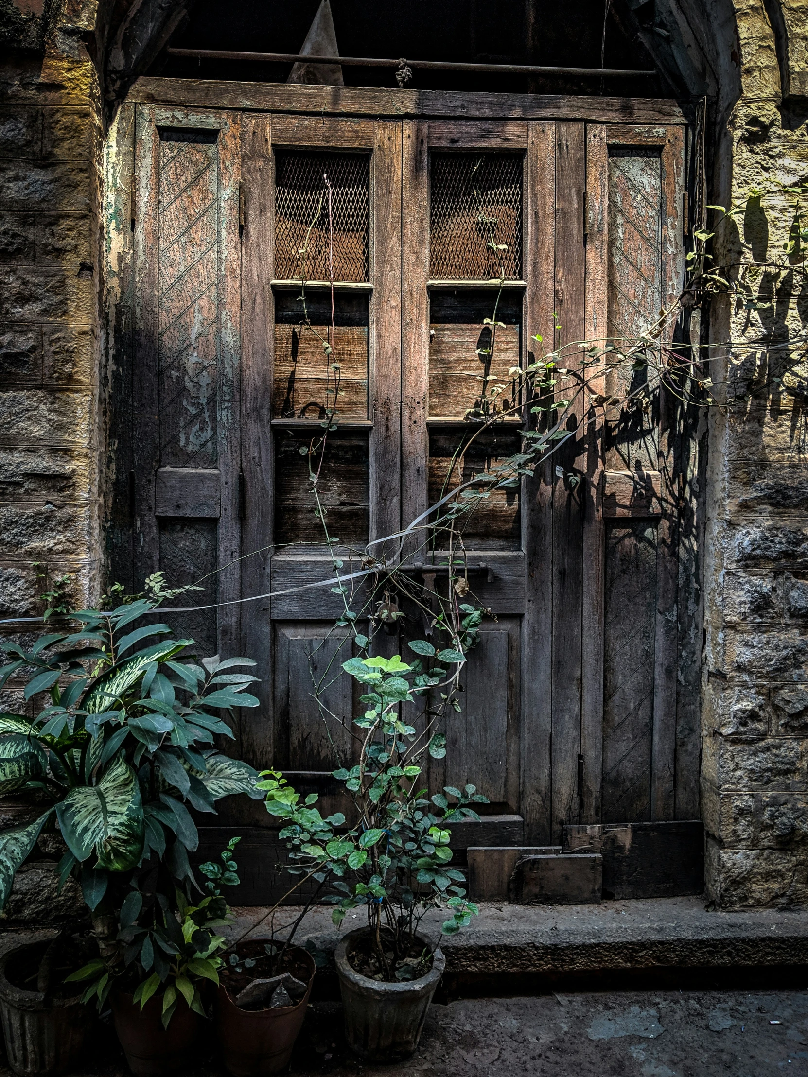 a door with windows and potted plants in front of it