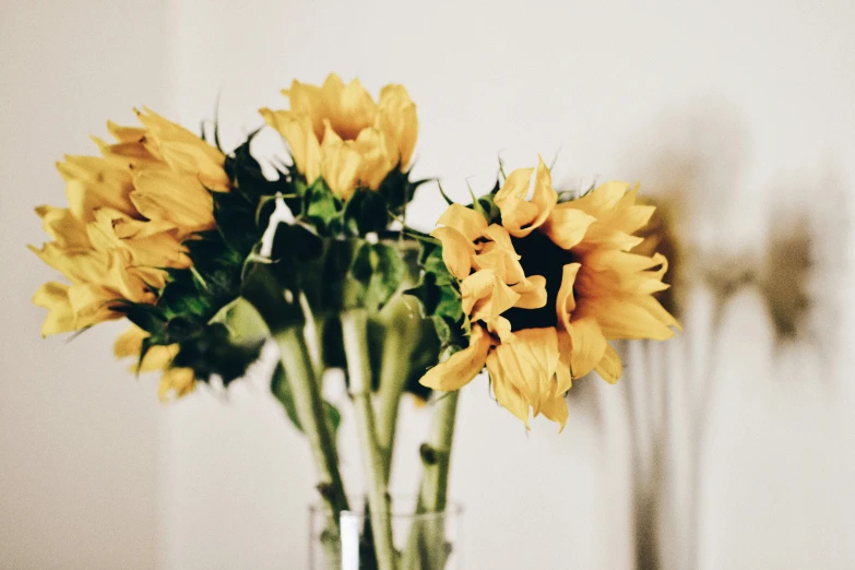 a vase filled with water filled with yellow flowers