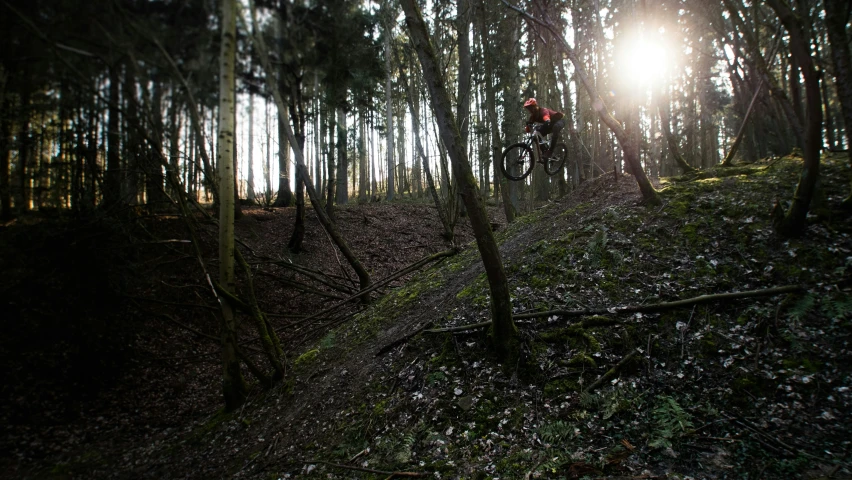 a person on a mountain bike in a forest