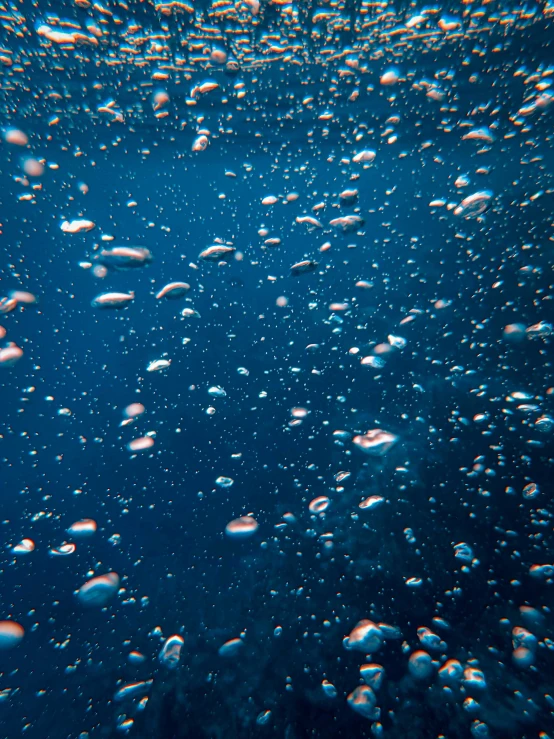 the image shows an under - water po of bubbles