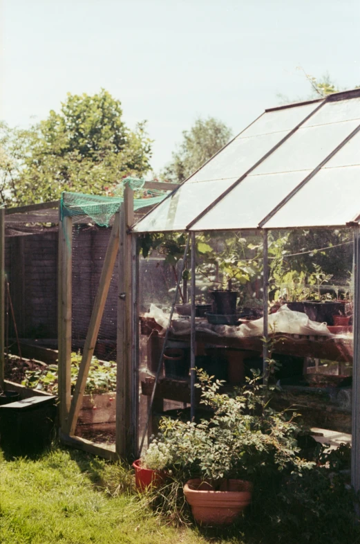 there is a garden inside of a greenhouse