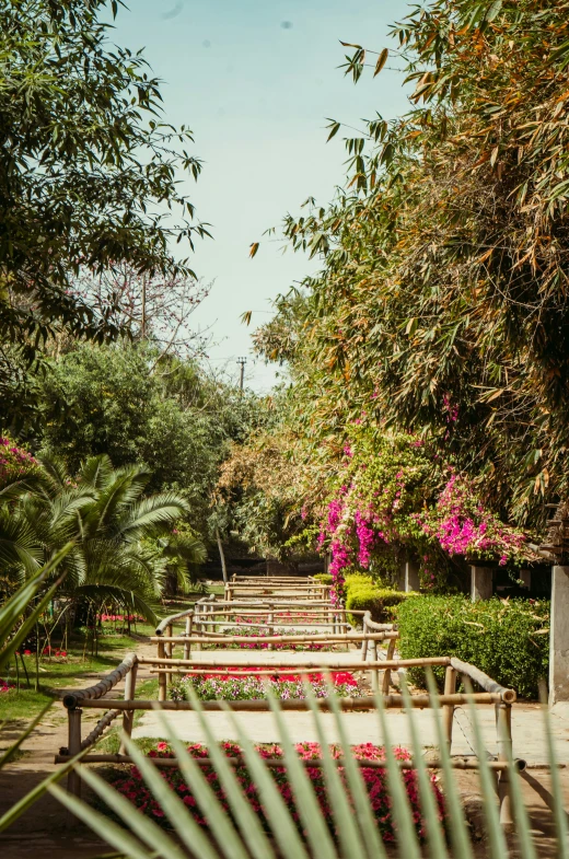 a view of some benches and trees in a park