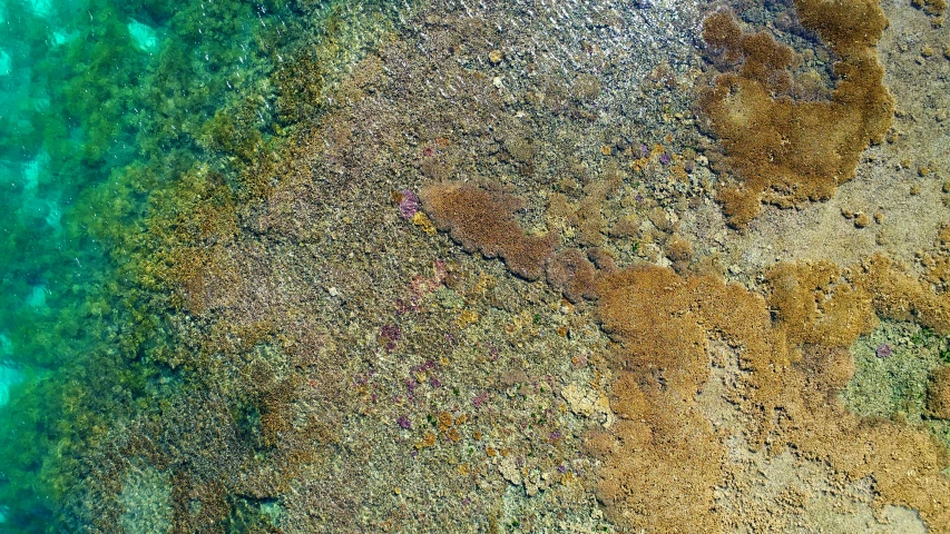 an image of a beach from the air