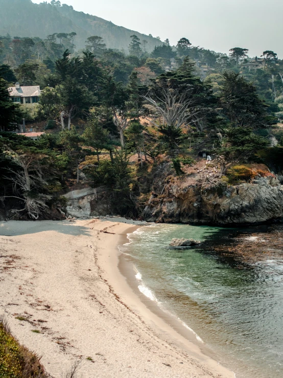 beach with trees in the background near the ocean