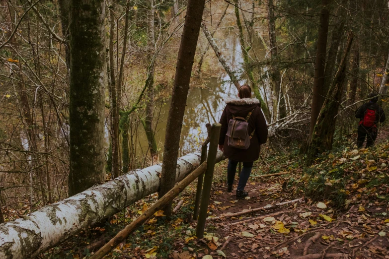 the person is walking on the path in the forest