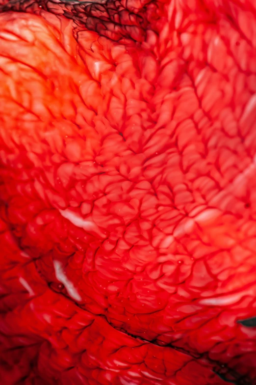 a close up po of the inside of a flower