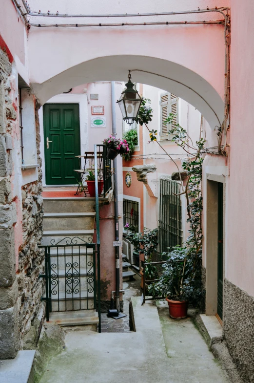 a narrow street with plants near the entrance