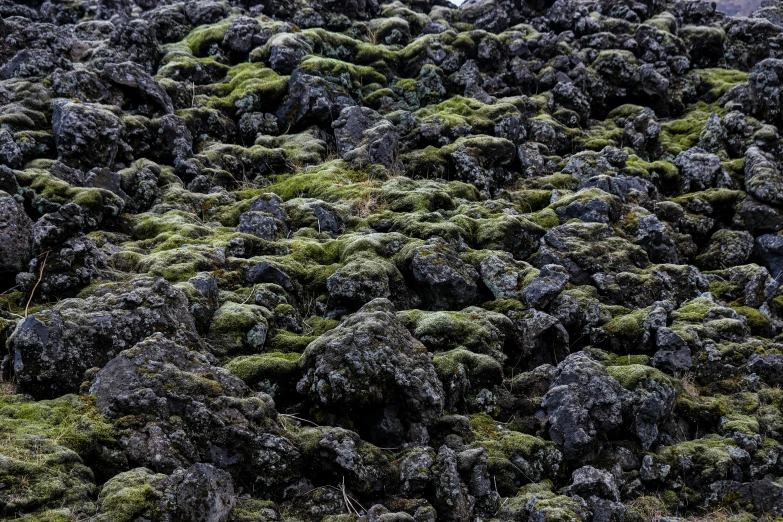the lush moss is covered with rocks and rocks