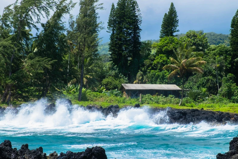 a beautiful blue ocean near a hut surrounded by forest