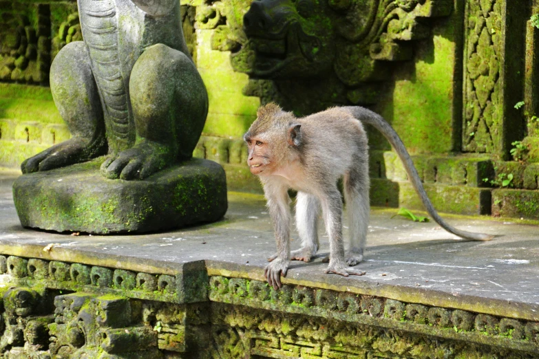 monkey standing next to statues in a park