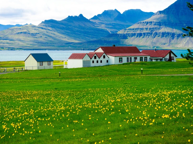 a row of houses with a red roof and white buildings with black roofs sit in front of some mountains