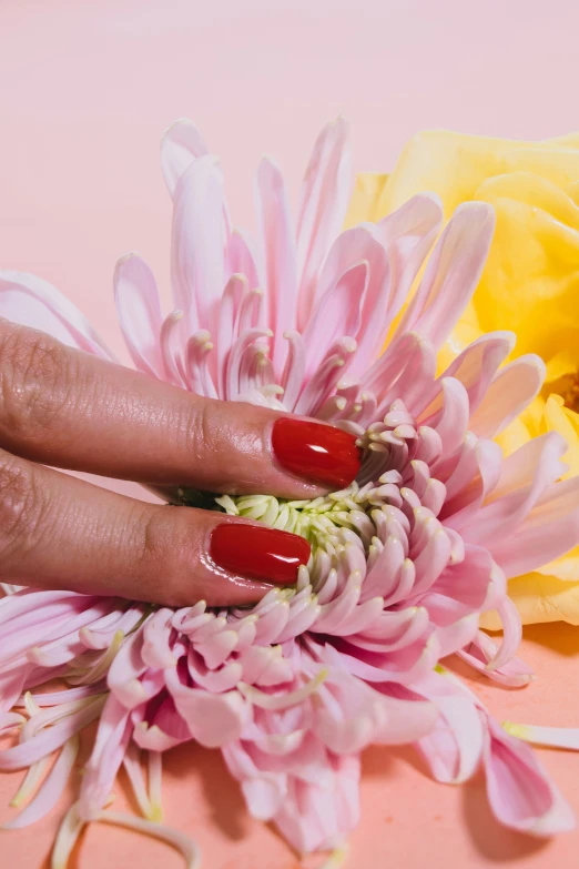 a woman's hand and fingernails sitting next to a pink flower