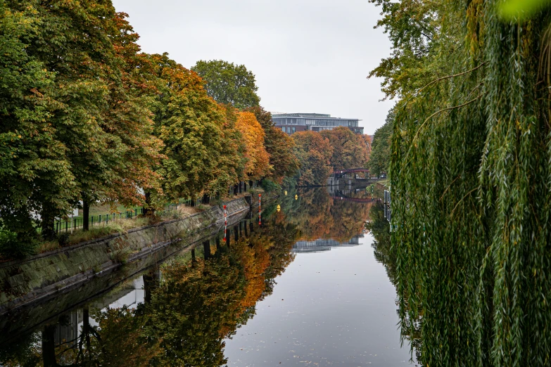 an image of trees on a river side in the fall