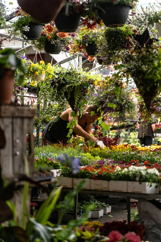 a woman with a flower pot in a greenhouse