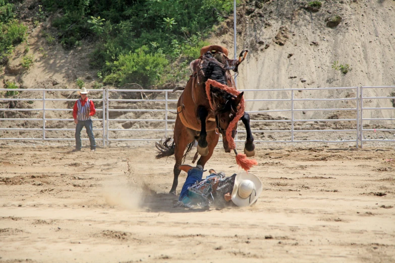 a person on top of a horse on top of dirt