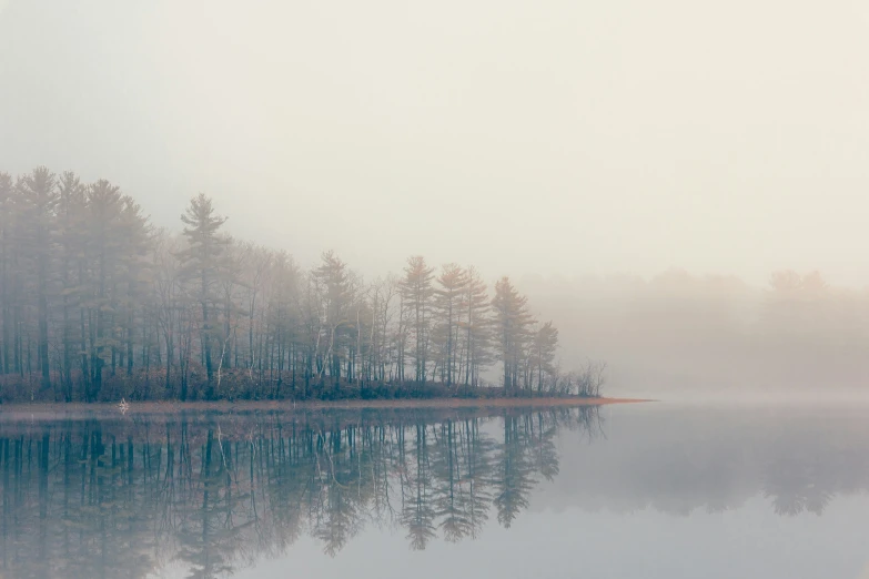 a lake with trees and fog on the water