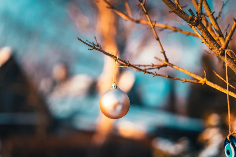 ornaments hanging on a tree nch for a display