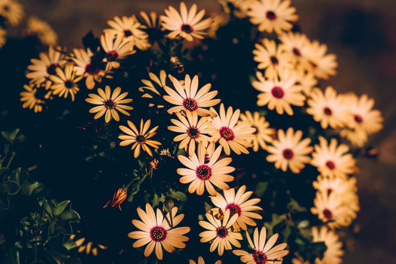 the large arrangement of yellow and red flowers is shown