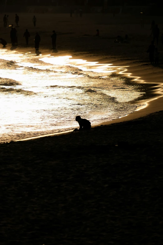 dog sitting in sand at dusk on beach