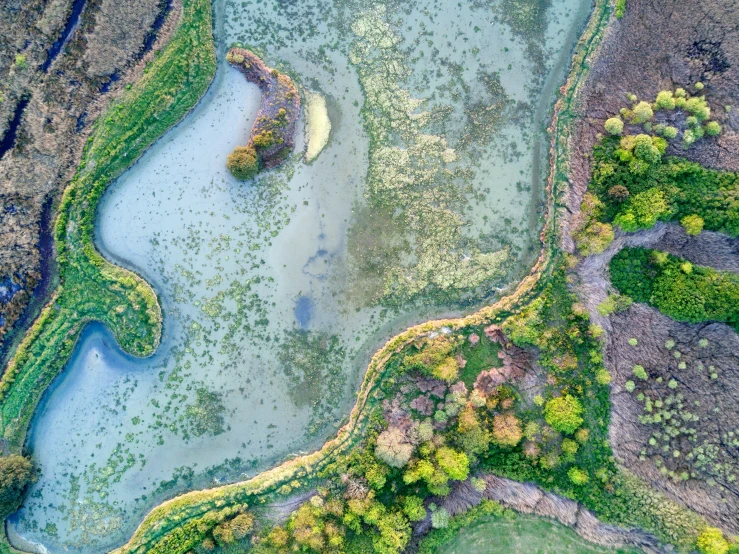 an aerial view of the landscape with water, plants and land