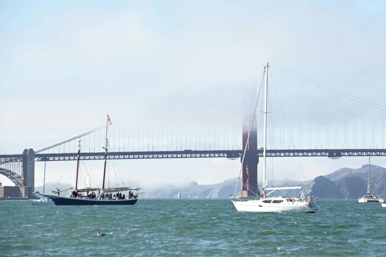 sailboats pass under the golden gate bridge