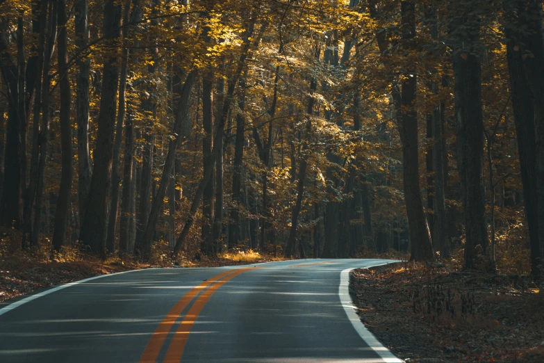 an empty road in a wood area is pictured