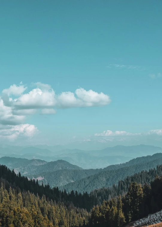 a hazy mountain scene with many tall trees