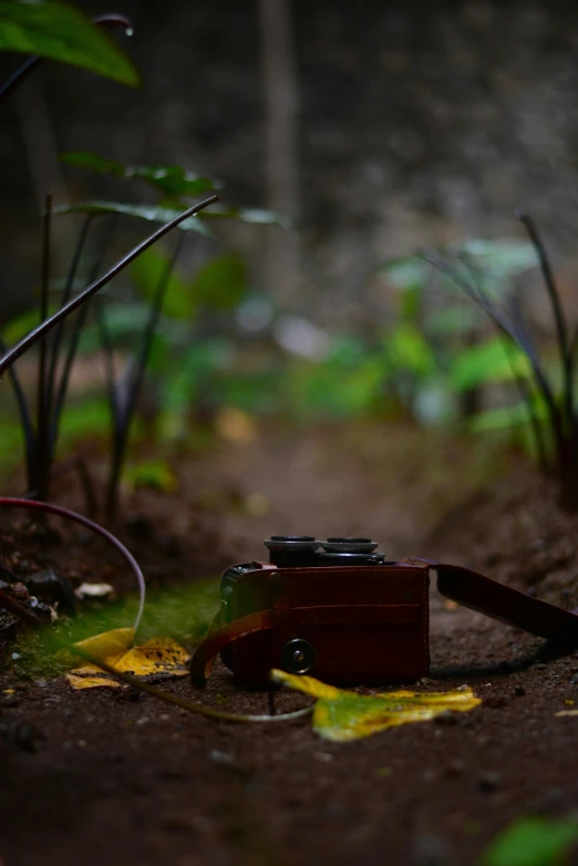 a brown camera that is sitting in the dirt