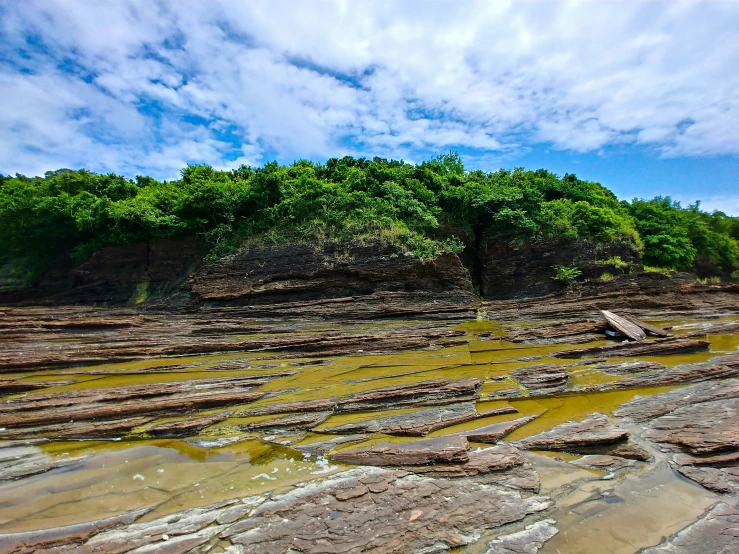 rocks with yellow water among the trees